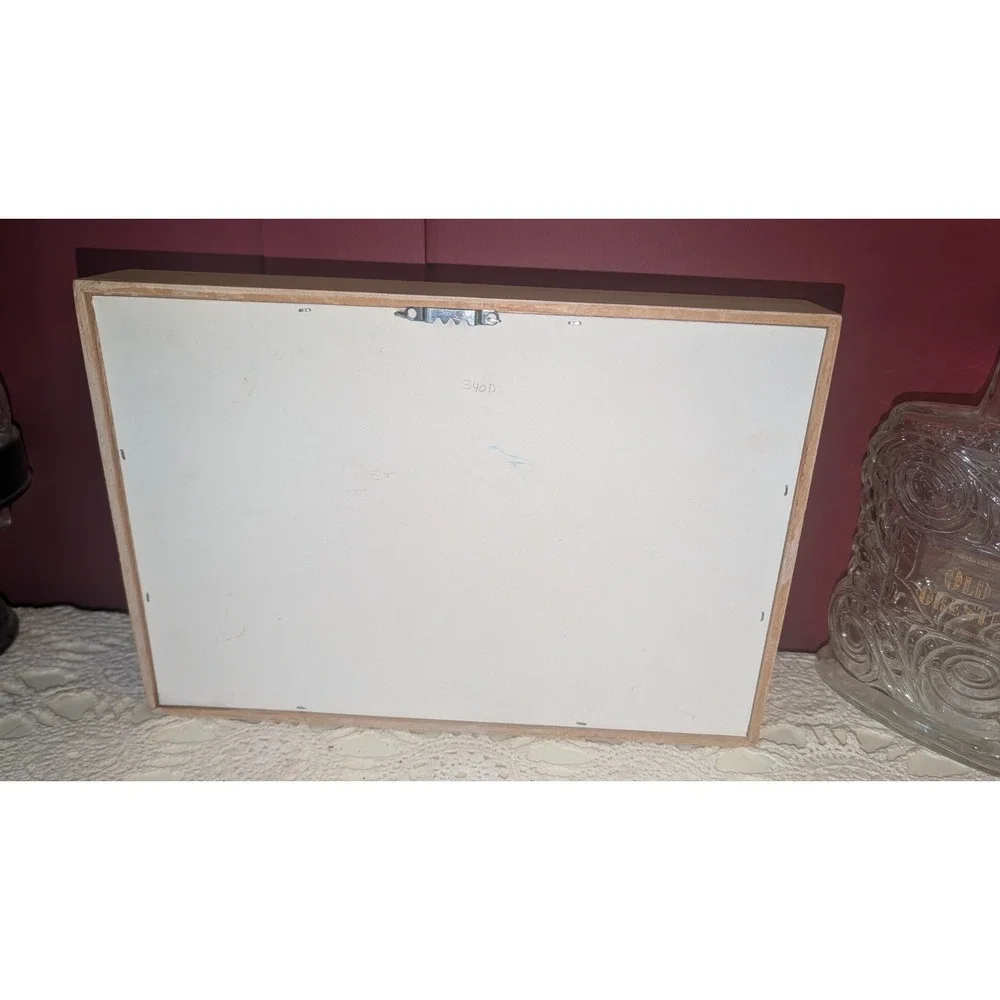 Large Vintage Legend Of The Sand Dollar Shadow Box Framed Doves of Peace 9